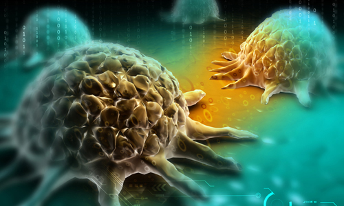 Science子刊：挑战常规！同一个T细胞受体诱导两种T细胞亚型产生