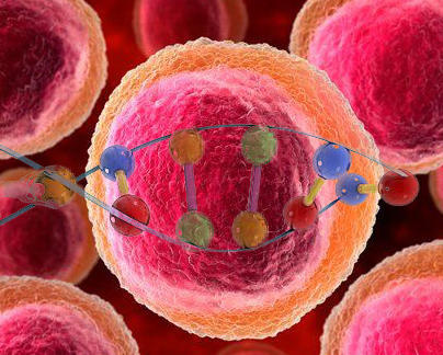 Cell：CAR-T细胞变“微型药房”派送“药品”治疗淋巴瘤