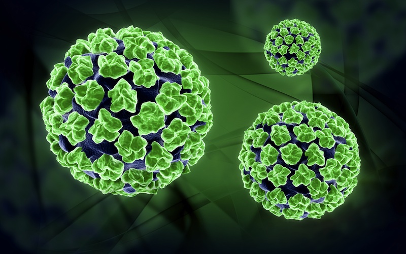 北大研究人员通过替换病毒氨基酸制备疫苗，或适用于任何病毒