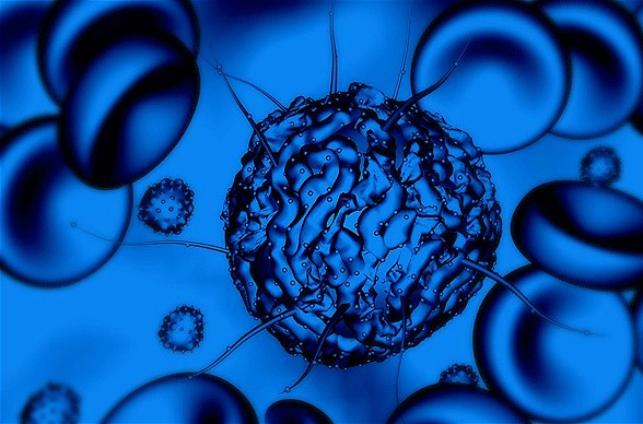 2016年干细胞研究最新进展