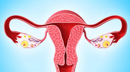 FDA授予Almac多肽药物ALM201治疗卵巢癌的孤儿药地位