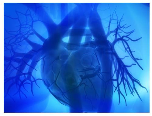 生物心脏起搏器或将取代电子起搏器