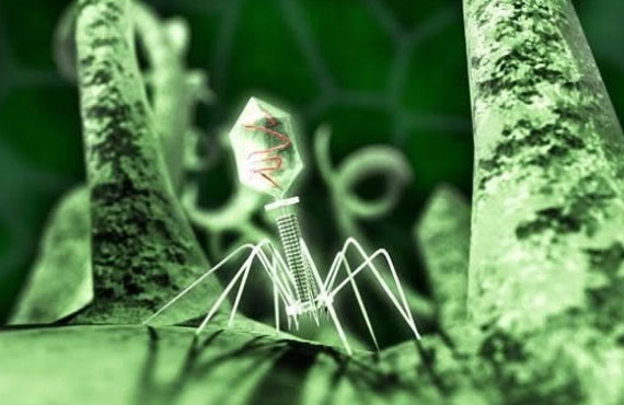 “专杀癌细胞”的逆天病毒  夸张了!