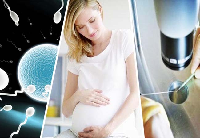 美科技巨头为女员工“冻卵”埋单背后