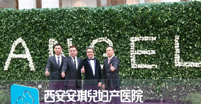 安琪儿版图再扩 卓朝阳上市谋定 