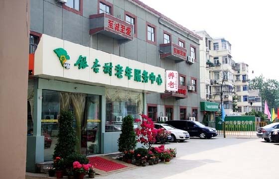 机构、社区、居家三位一体综合养老服务机构如何运作？