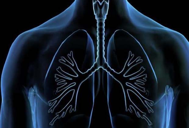 最新发现：质子治疗在肺癌中的应用