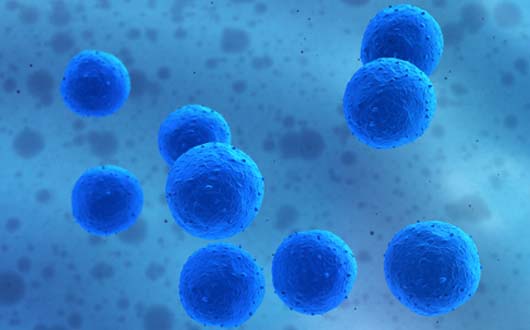 Science2014年度突破预测——肿瘤特异性T细胞！
