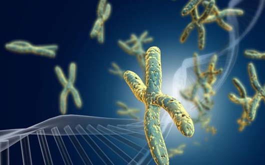 不了解ctDNA你就弱爆了： 液体活检将颠覆癌症治疗！