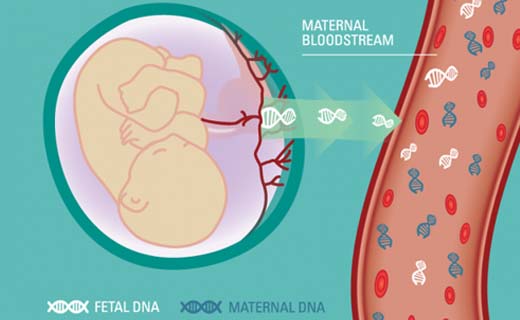 卫生部：2015全国胎儿无创产前检测实验室室间质评申请开始
