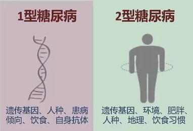 一图读懂：1型糖尿病与2型糖尿病的区别