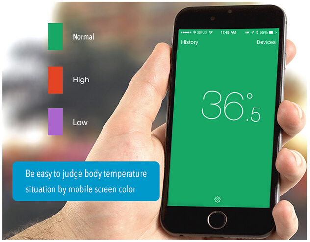 智能温度计的新玩儿法，iDo选择了开放接口
