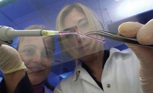 DNA“胶水”粘合3D打印材料 制造新器官