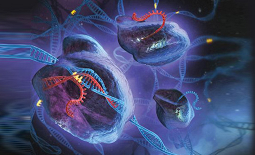 CRISPR/Cas9基因编辑最新亮点论文一览