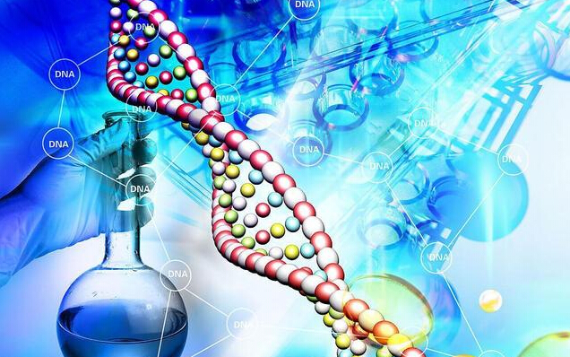 台湾公司正研发便携式测序平台 成本低于1000美元