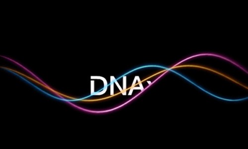 遗传学家开始通过互联网进行在线DNA测试