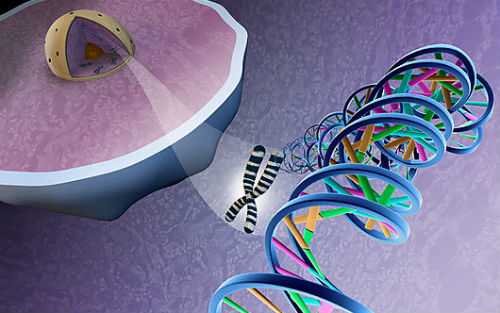 澳发明新基因测序技术，有助快速诊断血癌