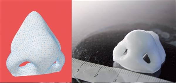 瑞士科学家3D打印鼻子将植入羊体内进行测试