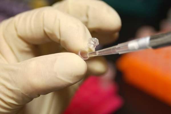 Illumina长读取技术解决宏基因组测序难题