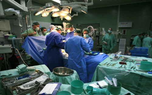 心衰希望 以色列和澳大利亚研究人员实现心脏细胞再生长