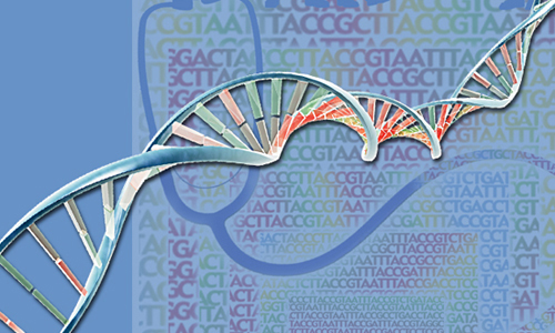 新测序技术G&T-seq：单细胞中同时测序基因组与转录组