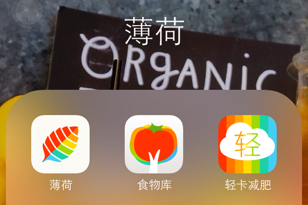 薄荷APP：健康减肥社区打造自主产品获盈利 正在准备C轮融资