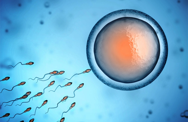 法国公司在实验室首次成功培育出了功能齐全的人类精子