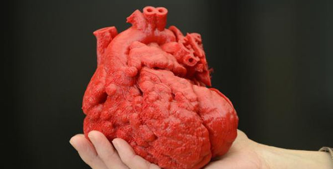 解决了这些问题 3D打印人体器官将迎来广阔的美好时代