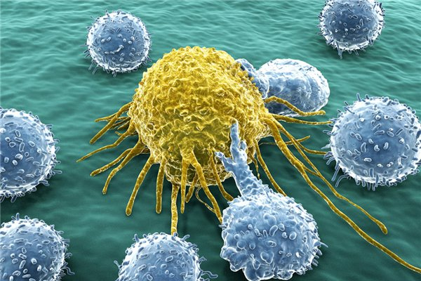 世界首次人类癌症病毒免疫治疗大获成功