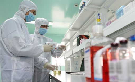 总投资2.55亿元的张江干细胞转化医学基地获批