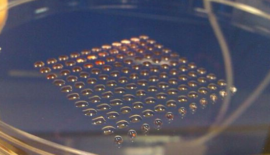 全新器官打印工艺解决3D打印细胞营养输送难题