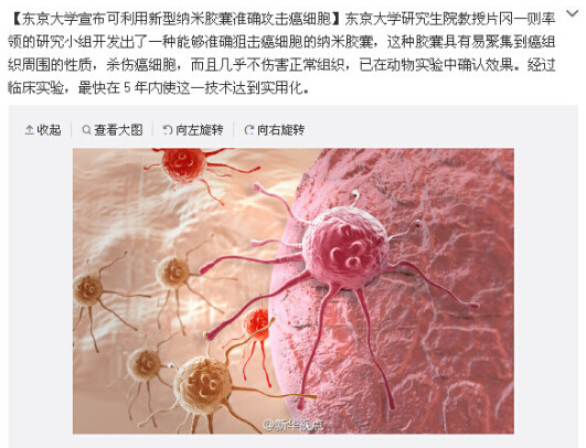 专业解读：东京大学宣布可利用新型纳米胶囊准确攻击癌细胞