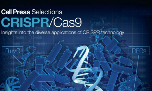 Cell：CRISPR惊人发现百种蛋白的领导者 助于研究癌症细胞如何转移