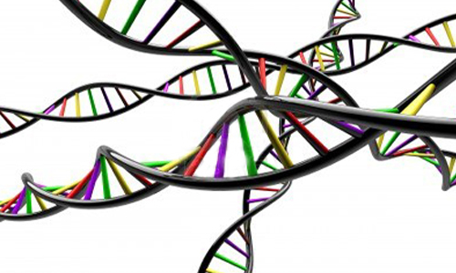 著名基因组分析软件GATK在Google Genomics上推出了云端版