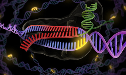 Nature：进化中的CRISPR技术又有新突破