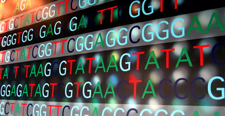 基因测序哪家强？RNA-seq和芯片的优劣势分析