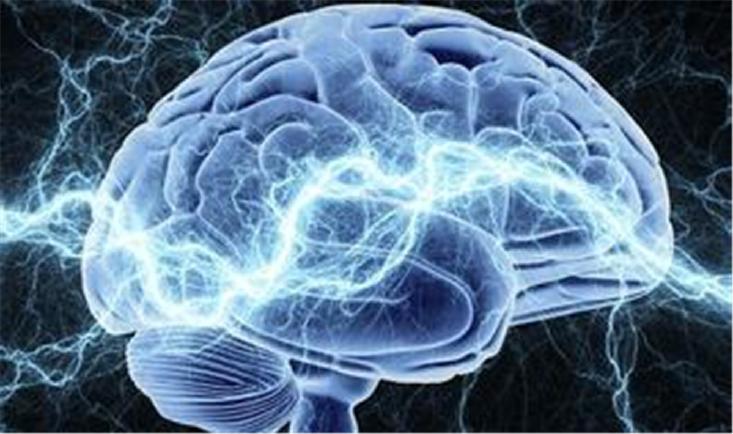  限制B2M攻击性脑蛋白 大脑衰老失忆或将得到控制