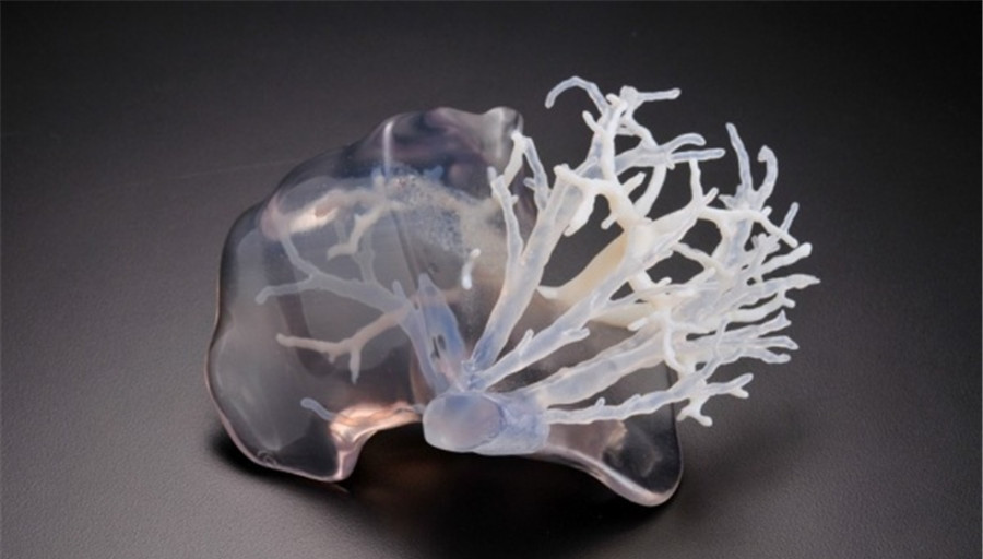 日本团队研发3D打印肝脏新鲜出炉 