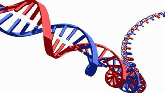 DNA也能像乐高一样玩？