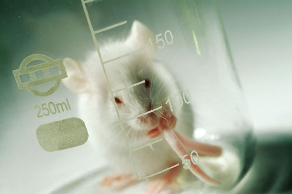基因治疗使小鼠恢复听力 精准治疗遗传性耳聋并不遥远