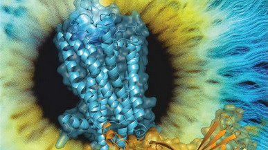 Nature：中外科学家用最强激光照亮人体未知信号通路