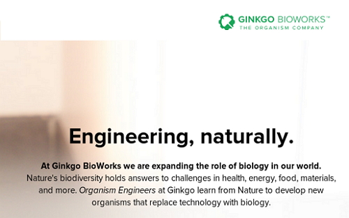 用基因修饰微生物合成香味,合成生物Ginkgo Bioworks获得4500万美元B轮融资