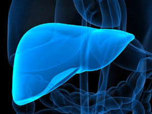 Nature：揭秘肝脏干细胞来源 有助肝癌研究