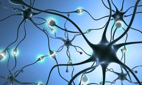 Mol Psych：培养皿中长出人血清素神经元 为精神疾病研究提供新思路