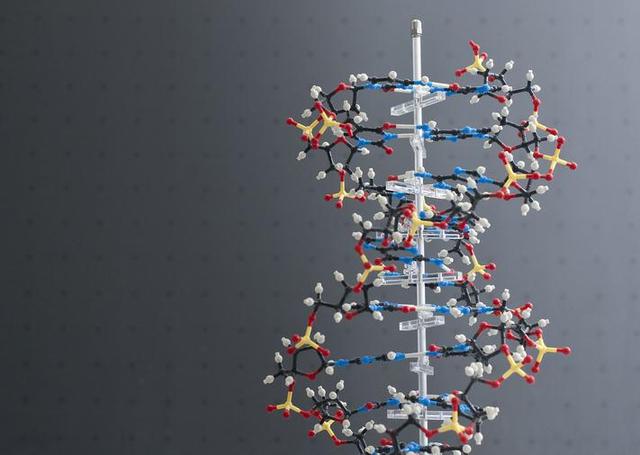 新技术让DNA数据存储可长达百万年