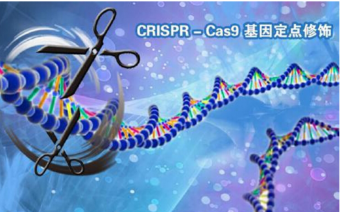 Science子刊：利用CRISPR和RNAi筛查药物靶点