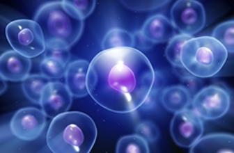 Cell reports：单基因可将健康细胞变为移动的癌症工厂
