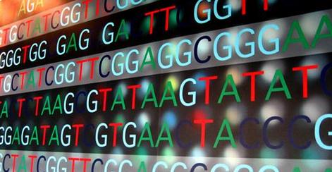 基因测序：自动化数据分析将成为下一个最热商机