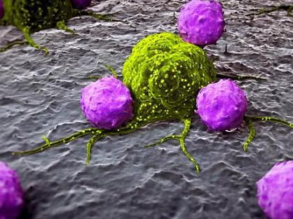 Immunity：天然免疫力或可帮助抵御癌症发展