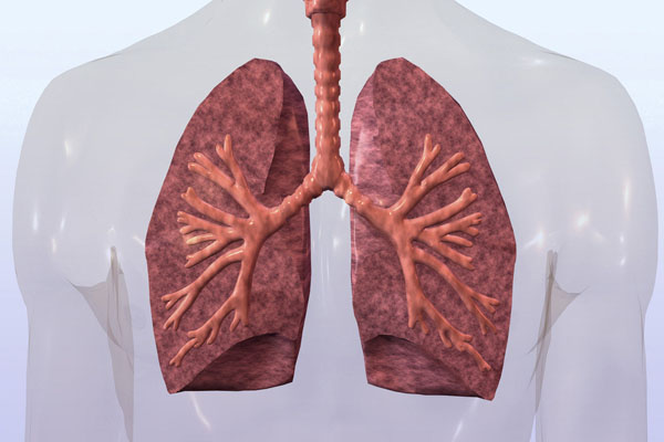 Nature子刊：科学家首次发现肺癌早期循环DNA